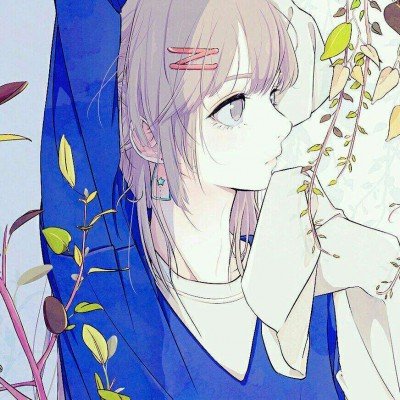 浪姐 背调